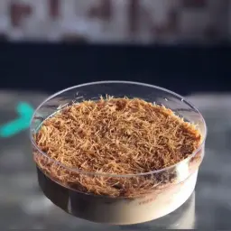 حلا الخشخش